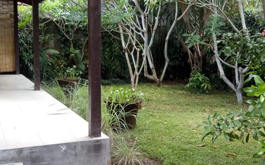 Rumah Erly – Jalan Raya Canggu