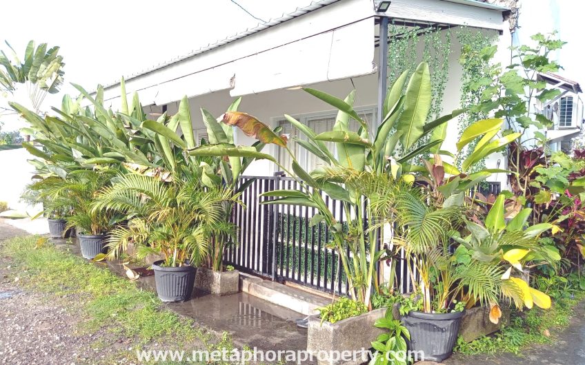 Rumah Arsile – Padonan