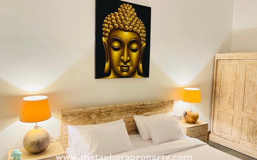 Villa Ladora – Seminyak Mertanadi Street