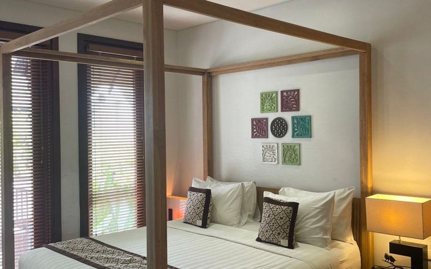 Villa Solena 2 – Seminyak Mertanadi street