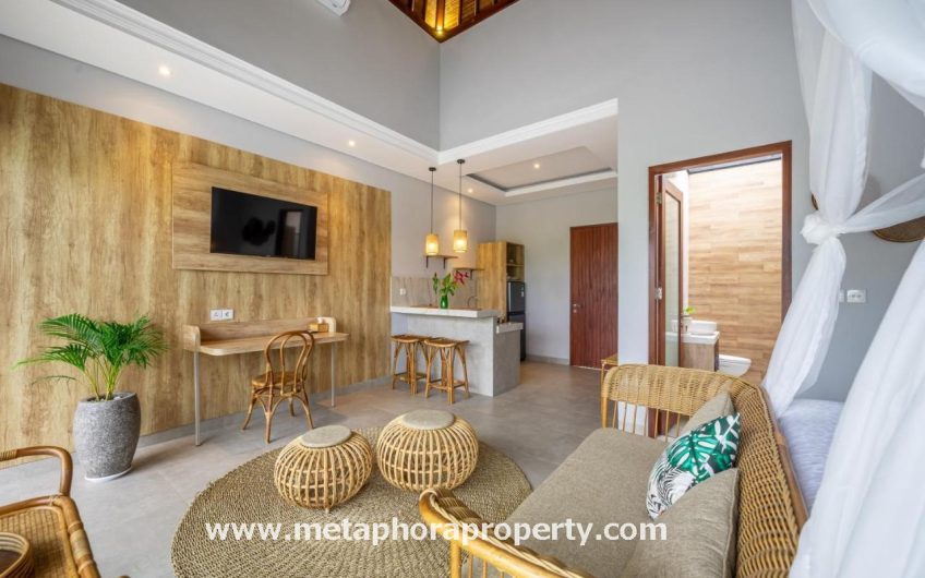 Villa Kunta – Seseh beach area