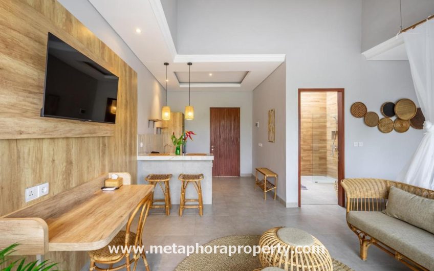 Villa Kunta – Seseh beach area